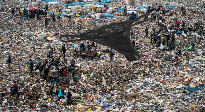 Congrats, the Bitch you're now one of the planet’s top 3 eco-nightmares, right behind farting cows and diesel truck
