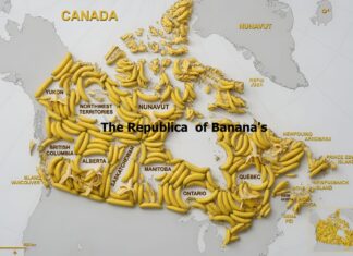 Canada, are you prepared to become the biggest state in America?