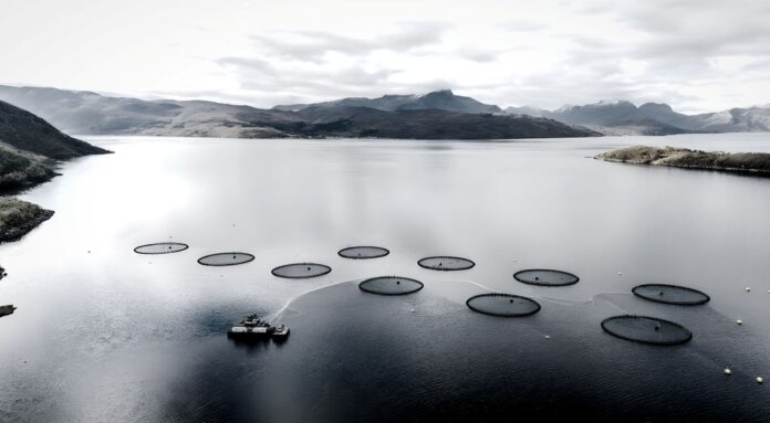 The Norway sewage is tripled by fish farm waste