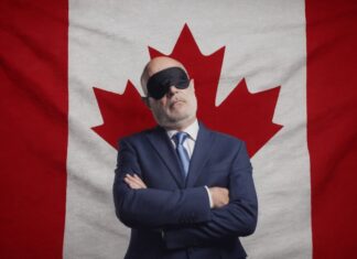 The documented inquiry into the international digital governance network