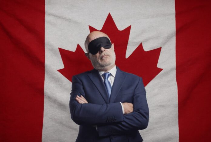 The documented inquiry into the international digital governance network